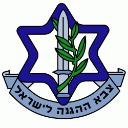 צבא הגנה לישראל